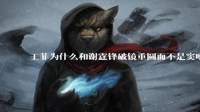 王菲为什么和谢霆锋破镜重圆而不是窦唯？
