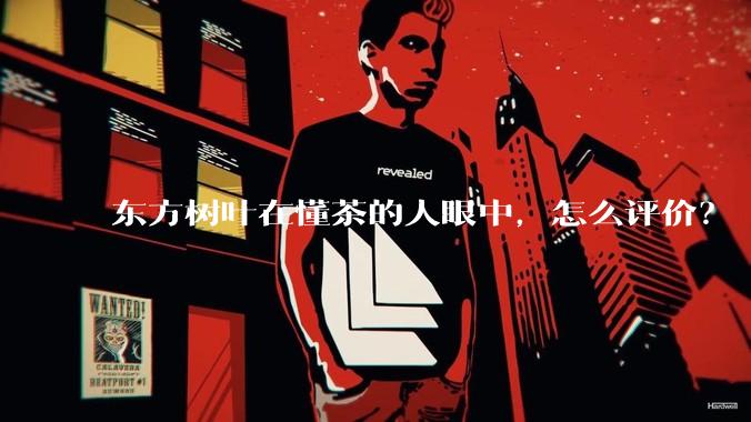 东方树叶在懂茶的人眼中，怎么评价？