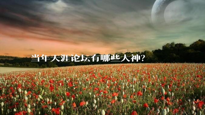 当年天涯论坛有哪些大神？