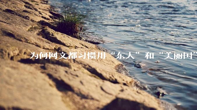 为何网文都习惯用“东大”和“美丽国”替代中国和美国？
