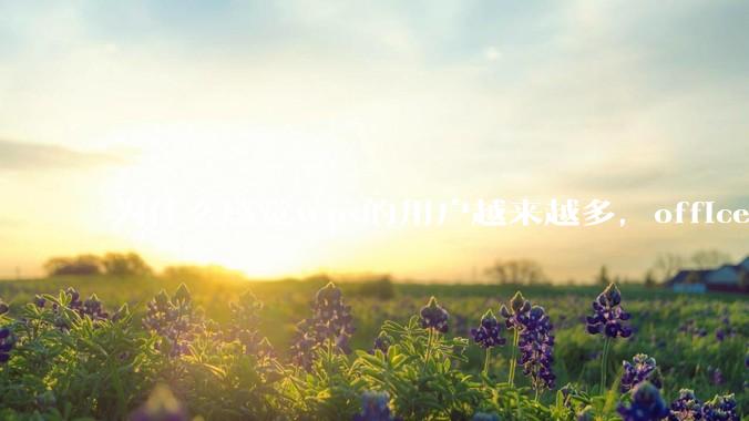 为什么感觉wps的用户越来越多，office没人用了?