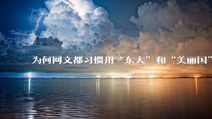 为何网文都习惯用“东大”和“美丽国”替代中国和美国？