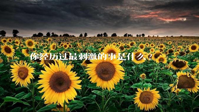 你经历过最刺激的事是什么?
