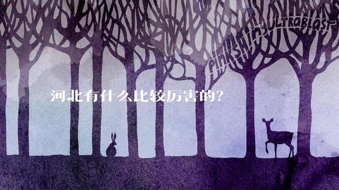 河北有什么比较厉害的？