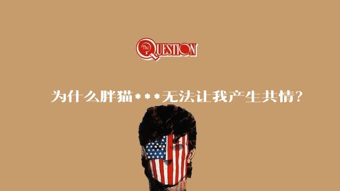 为什么胖猫***无法让我产生共情？