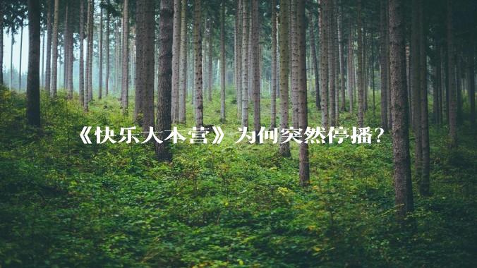 《快乐大本营》为何突然停播？