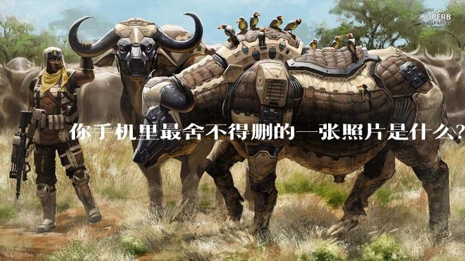 你手机里最舍不得删的一张照片是什么？