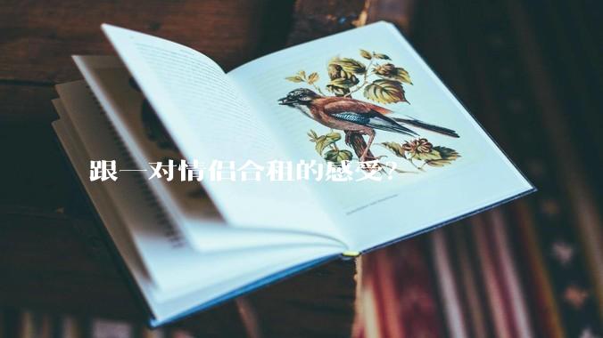 跟一对情侣合租的感受？