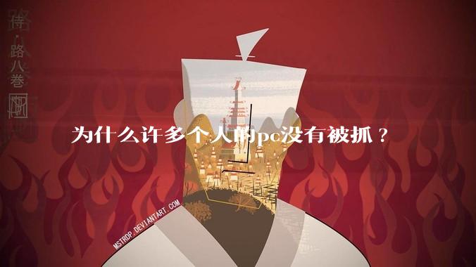 为什么许多个人的pc没有被抓?