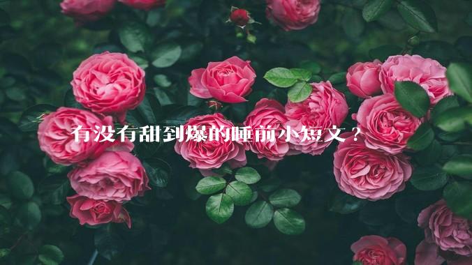 有没有甜到爆的睡前小短文?