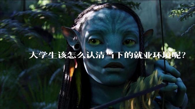 大学生该怎么认清当下的就业环境呢？