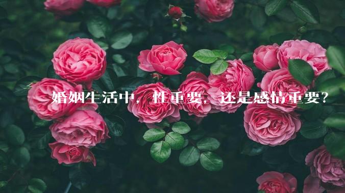 婚姻生活中，性重要，还是感情重要？