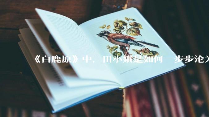 《白鹿原》中，田小娥是如何一步步沦为***的？