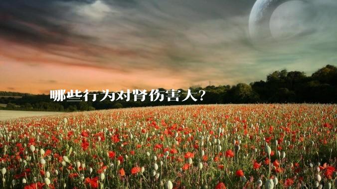 哪些行为对肾伤害大？